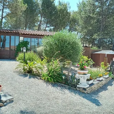 Les Coronilles 4* بوكير