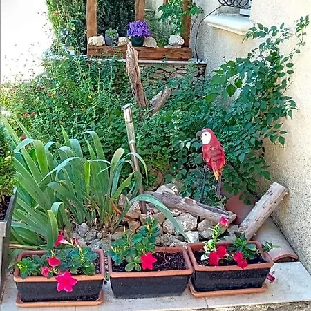 Les Coronilles Couette-café