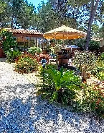 Couette-café Les Coronilles Beaucaire (Gard)